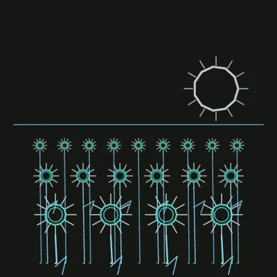 Andalusian Sunflower Field