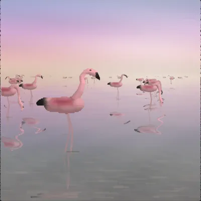 A greater flamingo standing in a still dawn lagoon on one leg with its neck curved down and its bent bill near the water, its flock running back to a pale horizon