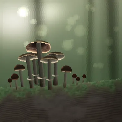 A clump of honey coloured mushrooms growing from a fallen log on Grovetracks