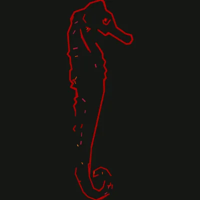 seahorse — Stroke Flow (volcanic)