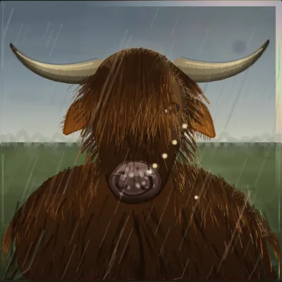 A ginger Highland cow head-on in cold grey drizzle, pale horns running off both edges of the frame, its face behind a soaked fringe with one eye showing
