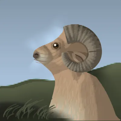 A bighorn ram's head and chest at close range against a bright low sky, one full curl of ridged horn filling the right of the frame, with a dim slope behind and grass in front
