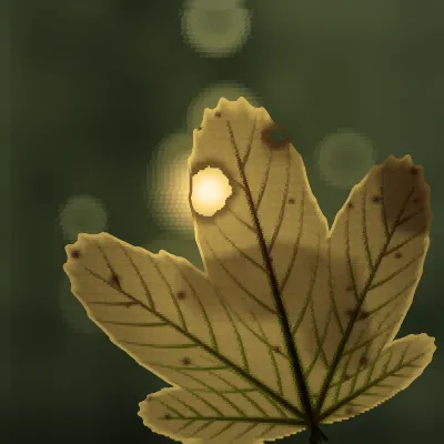 A turning maple leaf filling the frame against a blurred autumn canopy, the low sun behind it lighting the blade gold and pouring through a caterpillar bite at the upper left